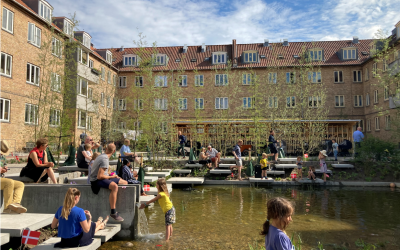 „Spon­ge City“ trifft Natur­schwimm­teich